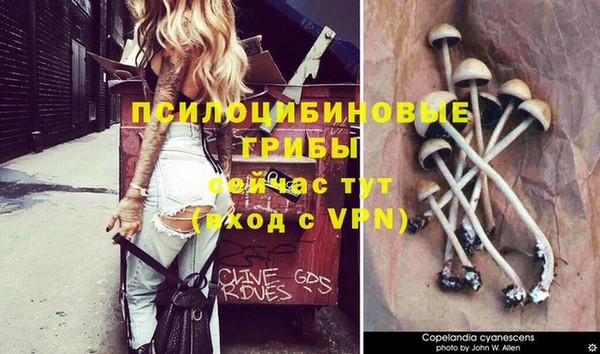 марки nbome Алзамай