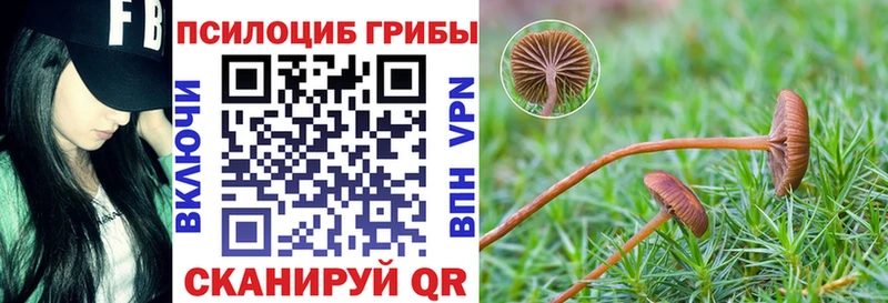 даркнет сайт Зверево Галлюциногенные грибы Magic Shrooms